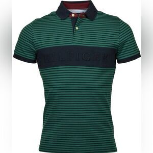 Tommy Hilfiger Men's Slim Fit Essential Stripe Polo Green and Blue
